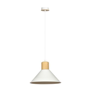 Emibig ROWEN 1045/1 Závěsná lampa 1x15W/E27 IP20