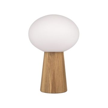 Markslojd PATER 108409 Stolní lampa 1x60W/E27 IP20