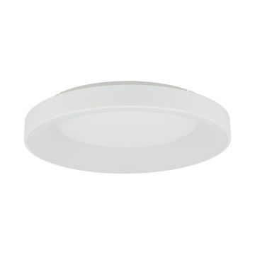 Nowodvorski NIKKI LED 11205 Stropní lampa 1x60W/LED 4000K 5600lm IP20
