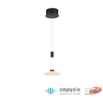 Paul Neuhaus LAUTADA 2080-18 Závěsná lampa 1x7,5W/LED 3000K 600LM IP20