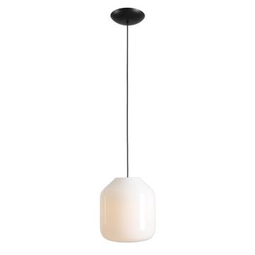 Aldex FLASK ORCHID L 8500G1_L Závěsná lampa 1x15W/E27