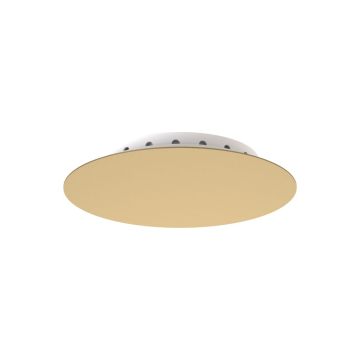 Nowodvorski CAMELEON CANOPY 12061 Růžice IP20