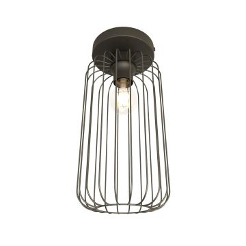 Emibig BARN 1367/1 Stropní lampa 1x15W/E27 IP20