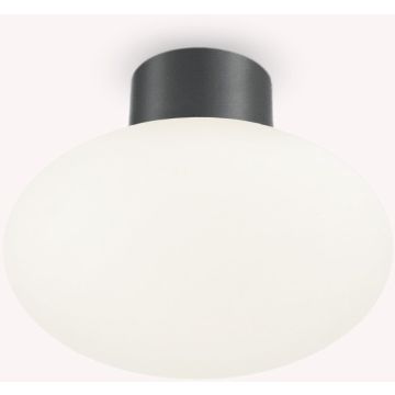 Ideal Lux CLIO 148861 Stropní lampa 1x42W/E27 ip44