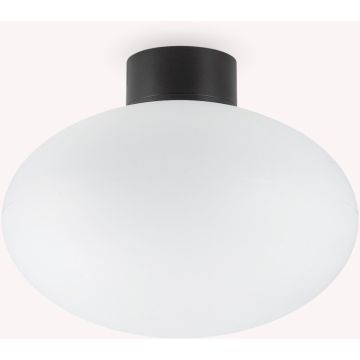 Ideal Lux CLIO 148878 Stropní lampa 1x42W/E27 ip44