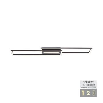 Paul Neuhaus ASMIN 14696-18 Stropní lampa 1x45W/LED 3000K 2900LM IP20