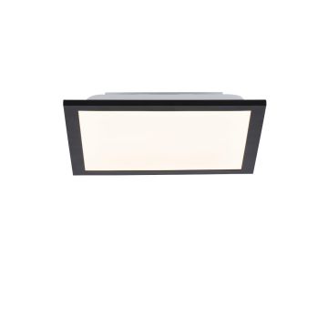 Paul Neuhaus FLAT 14740-18 LED panel 1x6W/LED 3000K 485LM IP20