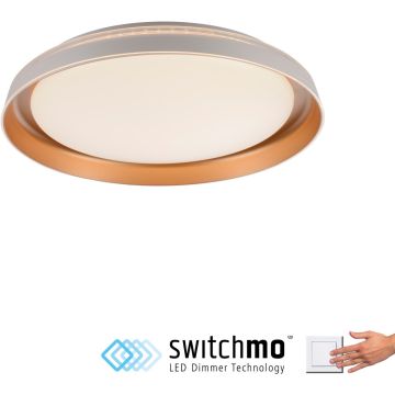 Paul Neuhaus SATI 14368-60 Stropní lampa 1x23,5W/LED 3000k 2630lm ip20