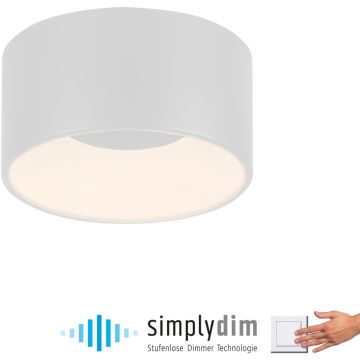 Paul Neuhaus TANIKA 14325-16 Stropní lampa 1x14W/LED 3000k 1500lm ip20
