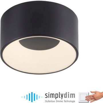 Paul Neuhaus TANIKA 14325-18 Stropní lampa 1x14W/LED 3000k 1500lm ip20