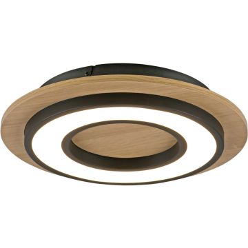 Paul Neuhaus TOLA 14560-18 Stropní lampa 1x18W/LED 3000k 2200lm ip20