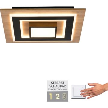 Paul Neuhaus TOLA 14563-18 Stropní lampa 1x30W/LED 3000k 3200lm ip20