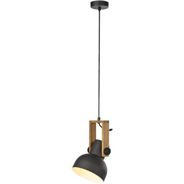 Paul Neuhaus CUP 2.0 15741-18 Závěsná lampa 1x60W/E27 ip20