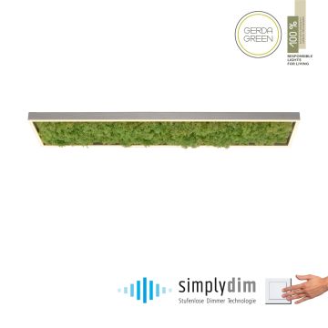 Paul Neuhaus GREEN KNUT 15623-66 Stropní lampa 1x25W/LED 3000k 2050lm ip20