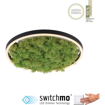 Paul Neuhaus GREEN RITUS 15391-66 Stropní lampa 1x20W/LED 3000k 630lm ip20