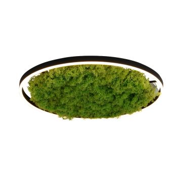 Paul Neuhaus GREEN RITUS 15392-66 Stropní lampa 1x28W/LED 3000k 960lm ip20