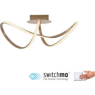 Paul Neuhaus MARIA 15403-60 Stropní lampa 1x18W/LED 3000k 2200lm ip20