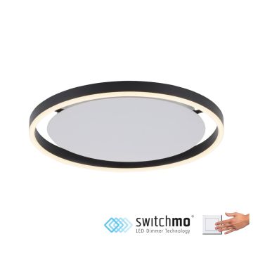 Paul Neuhaus RITUS 15391-13 Stropní lampa 1x20W/LED 3000K 800LM IP20