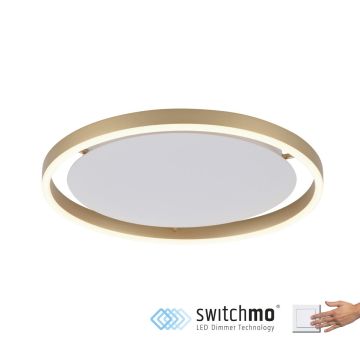 Paul Neuhaus RITUS 15391-60 Stropní lampa 1x20W/LED 3000K 1060LM IP20