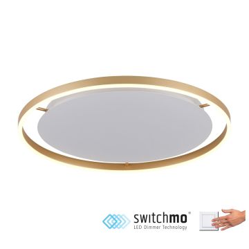 Paul Neuhaus RITUS 15392-60 Stropní lampa 1x28W/LED 3000K 1550LM IP20
