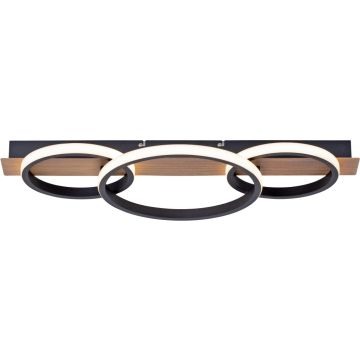 Paul Neuhaus TROOPER 15616-78 Stropní lampa 1x41W/LED 3000k 4600lm ip20