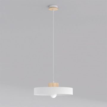 Emibig KIVI 1669/1L Závěsná lampa 1x15W/E27 IP20