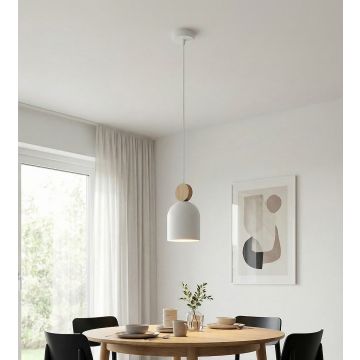 Emibig MESI 1693/1 Závěsná lampa 1x8W/GU10 IP20