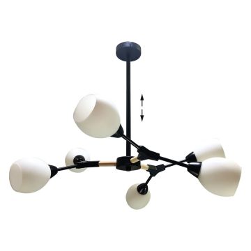 Prezent CITTERIO 18300 Stropní lampa 6x40W/E14 IP20