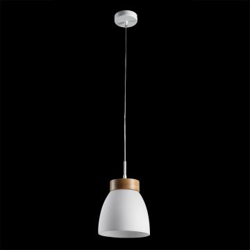 Prezent FOCUS 18068 Závěsná lampa 1x40W/E27 IP20