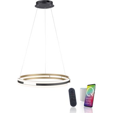 Paul Neuhaus Q-BELUGA 2051-60 Závěsná lampa 1x62W/LED 2700-5000k 6900lm ip20