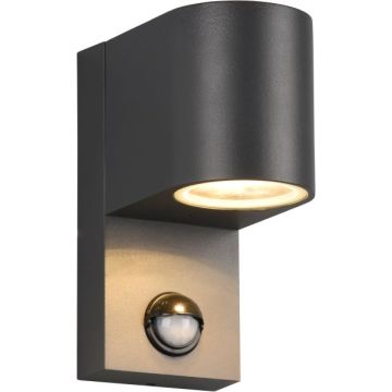 Trio ROYA 214260142 Nástěnná lampa 1x35w/gu10 ip44