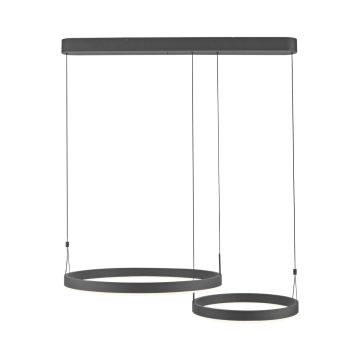 Paul Neuhaus ESKO 2360-18 Závěsná lampa 2x41W/LED 2700K-5000K 1900lm IP20