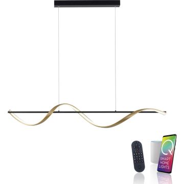 Paul Neuhaus Q-SWING 2385-13 Závěsná lampa 1x28W/LED 2700-5000k 3100lm ip20