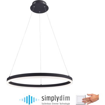 Paul Neuhaus TITUS 2382-13 Závěsná lampa 1x44W/LED ip20