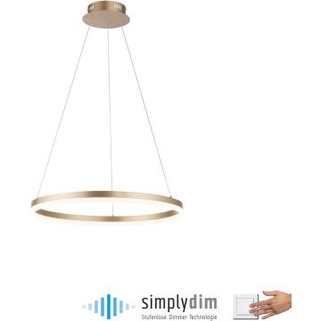 Paul Neuhaus TITUS 2382-60 Závěsná lampa 1x44W/LED 3000k 5250lm ip20