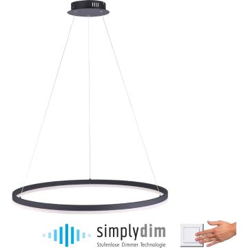 Paul Neuhaus TITUS 2383-13 Závěsná lampa 1x61W/LED ip20