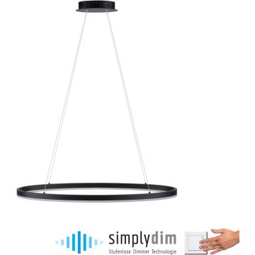 Paul Neuhaus TITUS 2392-13 Závěsná lampa 1x38W/LED 3000k 1800lm ip20