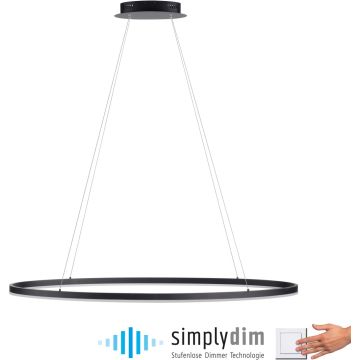 Paul Neuhaus TITUS 2393-13 Závěsná lampa 1x57,5W/LED 3000k 2700lm ip20