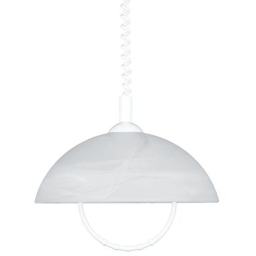 Prezent ALBERT 23068 Závěsná lampa 1x60W/E27 IP20