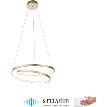 Paul Neuhaus ROMAN 2472-12 Závěsná lampa 1x32W/LED 3000k 4000lm ip20