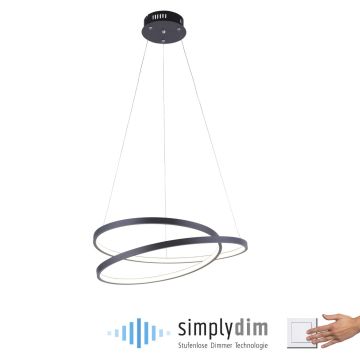 Paul Neuhaus ROMAN 2472-18 Závěsná lampa 1x32W/LED 3000k 4000lm ip20