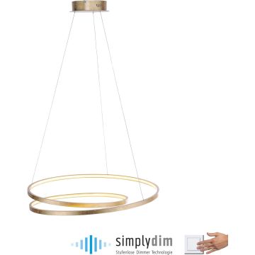 Paul Neuhaus ROMAN 2474-12 Závěsná lampa 1x46W/LED 3000k 5100lm ip20