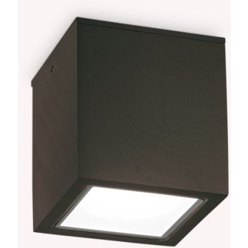 Ideal Lux TECHO 251578 Nástěnné osvětlení 1x20W/GU10 ip54