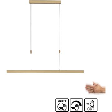 Paul Neuhaus ADRIANA 2568-60 Závěsná lampa 3x45W/LED 2700-5000k 4680lm ip20