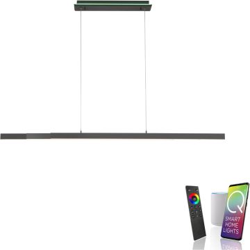 Paul Neuhaus Q-ARIAN 2569-13 Závěsná lampa 4x55W/LED 2700-5000k 5520lm ip20
