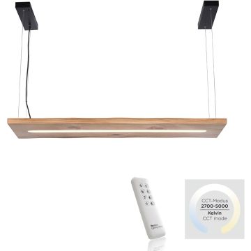 Paul Neuhaus PALMA 2625-79 Závěsná lampa 1x27W/LED 2700-5000k 2750lm ip20