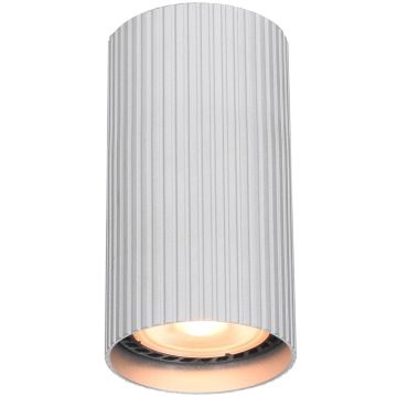 Italux Rilok CLN-83920-S-ALU Nástěnné osvětlení 1x10W/GU10 IP20