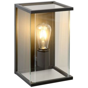 Lucide CLAIRE 27883/01/30 Nástěnná lampa 1x60w/e27 ip54