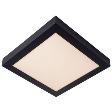 Lucide BRICE-LED 28117/30/30 Stropní lampa 1x30w/led 3000k 1727lm ip44