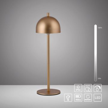 Paul Neuhaus BELLIS 19244-12 Stolní lampa 1x2,5W/LED 3000k 210lm ip54